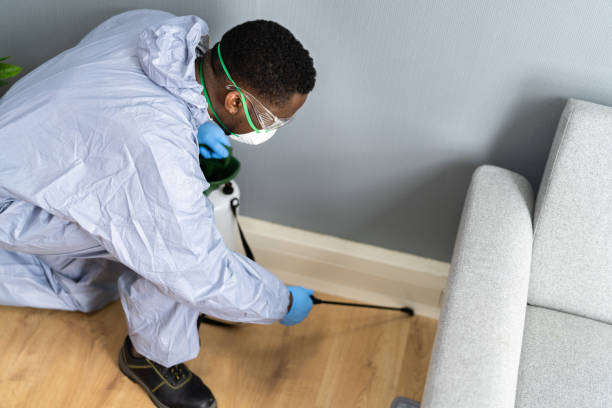 Best Fumigation Services  in Atlanta, GA